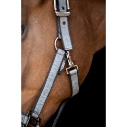 CATAGO NAME Grime. Monument/slvgr