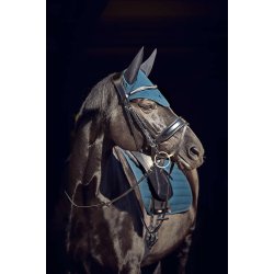 Catago Hybrid Soundless Hut