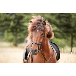 CATAGO RAJA islndertrense. Sort