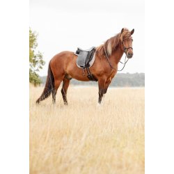 CATAGO RAJA islndertrense. Sort