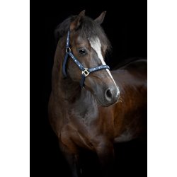 HORSEGUARD FANTASY Grime. Navy