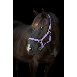 HORSEGUARD MALVA Grime. Lavender. "Pretty Girl"