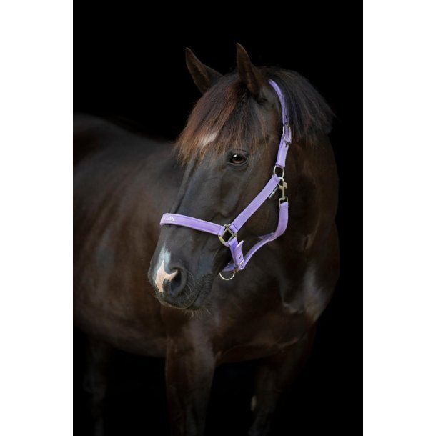 HORSEGUARD MALVA Grime. Lavender. "Pretty Girl"