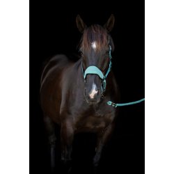 CATAGO FIR-Tech Grime. Blue Surf