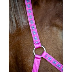 HORSEGUARD BUTTERFLY Grime. Phlox Pink