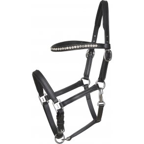 HORSEGUARD Flshowgrime. ring