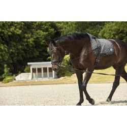 HORSEGUARD AVA Rundsyet trense. Sort