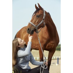 HORSEGUARD HIP Grime. Glitter. Smoked Pearl. Gr/slv