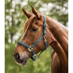 WALDHAUSEN SATIN Grime. Pine Green