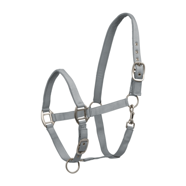 WALDHAUSEN SATIN Grime. Chrome Grey