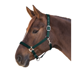 WALDHAUSEN SATIN Grime