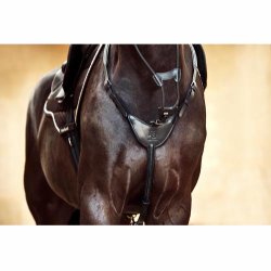 HORSEGUARD DERIN Ls elastik til martingal. Sort