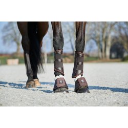 HORSEGUARD LUX Dressurgamacher. Brun