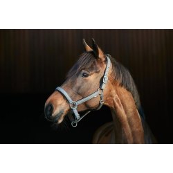 HORSEGUARD LEX Grime i webbing materiale. Gr