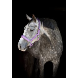 HORSEGUARD DIYA 2.0 Grime. Lavender