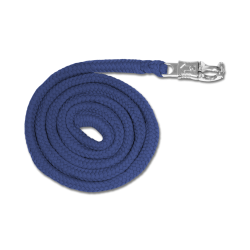 WALDHAUSEN  Trktov med panikhage