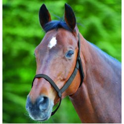 WALDHAUSEN Allergi-venlig grime