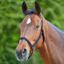 WALDHAUSEN Allergi-venlig grime
