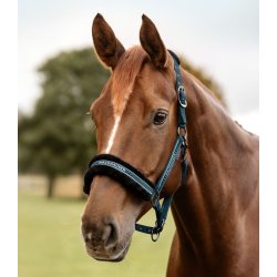 WALDHAUSEN ELEGANT Grime med plys. Petrol