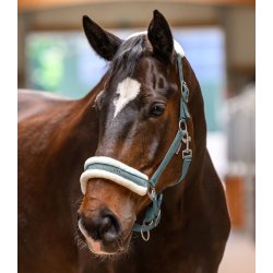 WALDHAUSEN ELEGANT Grime med plys. Pine Green