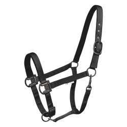 WALDHAUSEN Elegant grime