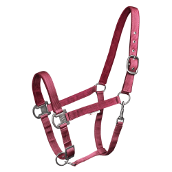 WALDHAUSEN Elegant grime