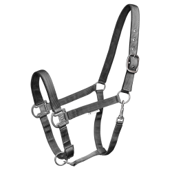 WALDHAUSEN Elegant grime