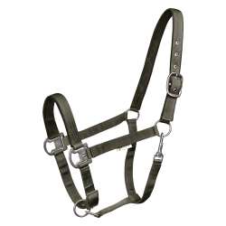 WALDHAUSEN Elegant grime