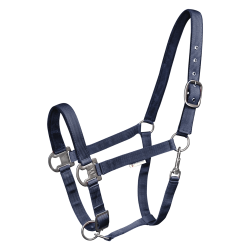 WALDHAUSEN Elegant grime