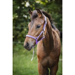 HORSEGUARD MALVA F�lgrime. Lavender