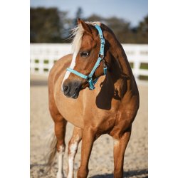 HORSEGUARD MALVA Grime. Aruba Blue. "Best Friend"