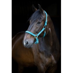 HORSEGUARD MALVA Grime. Arctic Blue. "Handsome Boy"