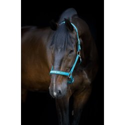 HORSEGUARD MALVA Grime. Arctic Blue. "Handsome Boy"