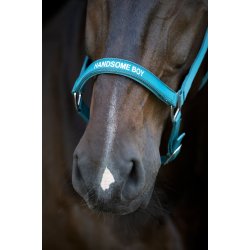 HORSEGUARD MALVA Grime. Arctic Blue. "Handsome Boy"