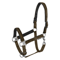 WALDHAUSEN ATHLETIC Grime.