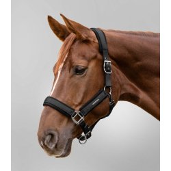 WALDHAUSEN SOFT TOUCH Grime. Sort