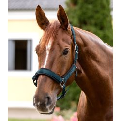 WALDHAUSEN SOFT TOUCH Grime. Petrol