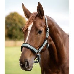 WALDHAUSEN SOFT TOUCH Grime. Silver Blue