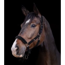 WALDHAUSEN ST. GALLEN Grime. Sort