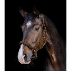 WALDHAUSEN ST. GALLEN Grime. Brun