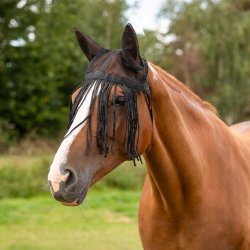 QHP Insektgardin med �rer.