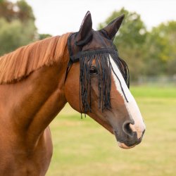 QHP Insektgardin med �rer.