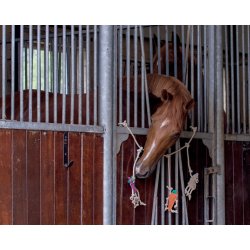 QHP Boksleget�j p� snor