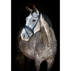 CATAGO NIVAL 26.1 Rundsyet trense med kombineret n�seb�nd og tilbagetr�k 