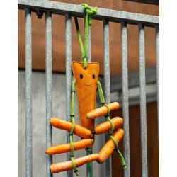 QHP Boksleget�j med h�net