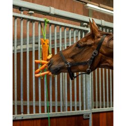 QHP Boksleget�j med h�net