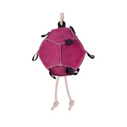 QHP HORSE Leget�jsbold. Pink