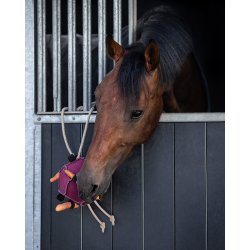 QHP HORSE Leget�jsbold. Pink