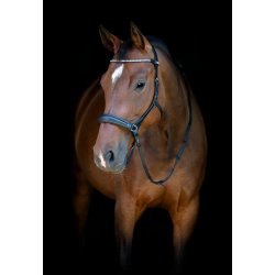 HORSEGUARD Bidl�s trense. Sort