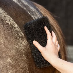 LAMI CELL SHINE Scrubber svamp